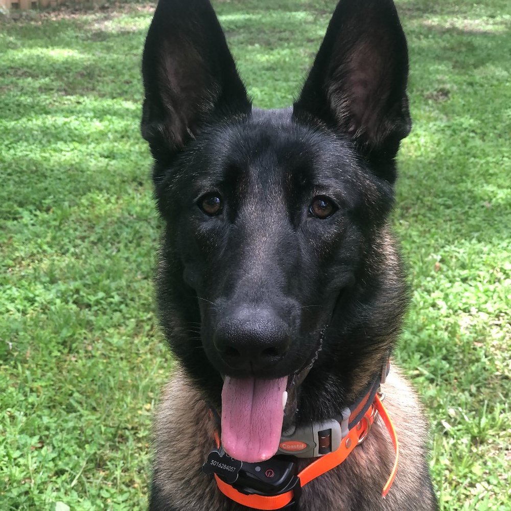 Meet your Posher, Christy